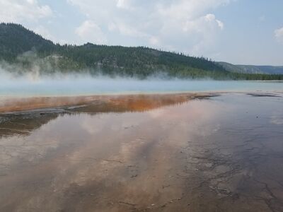 20170805_122315.jpg
