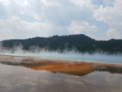 20170805_122355.jpg