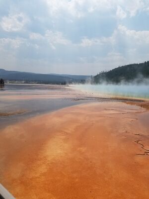 20170805_122542.jpg