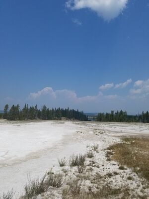 20170805_122921.jpg