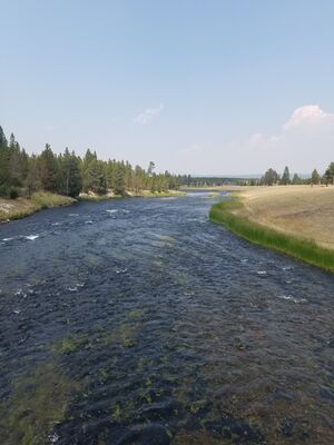 20170805_123529.jpg