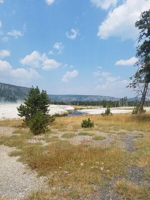 20170805_125434.jpg