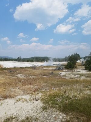 20170805_125904.jpg