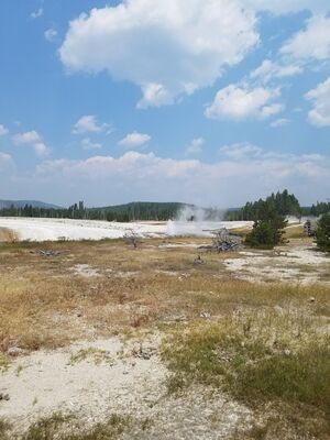 20170805_125906.jpg