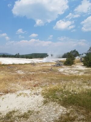 20170805_125911.jpg