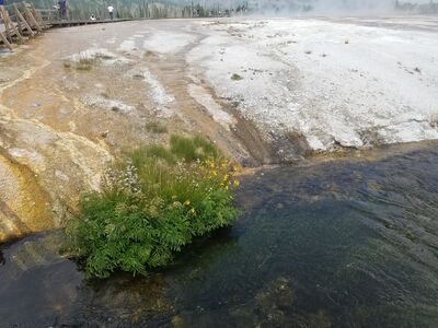 20170805_125944.jpg