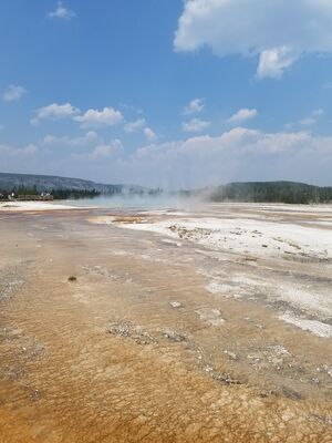 20170805_130015.jpg