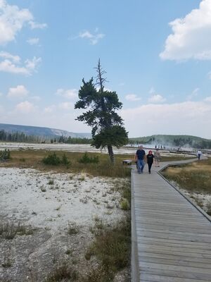 20170805_130337.jpg