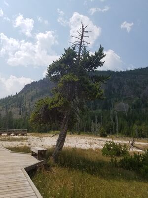 20170805_130553.jpg