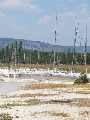 20170805_131610.jpg