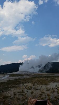 20170805_162035.jpg