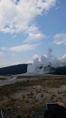 20170805_162115.jpg
