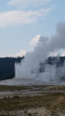 20170805_162124.jpg