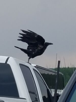 20170805_163920.jpg