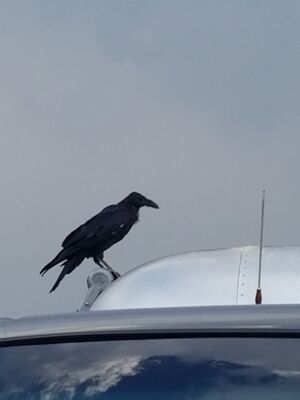 20170805_163927.jpg