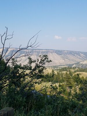 20170805_175618.jpg