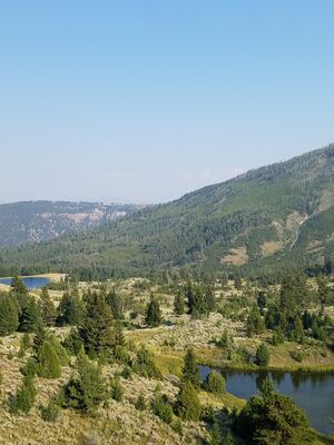 20170805_175627.jpg