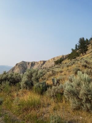 20170805_181005.jpg