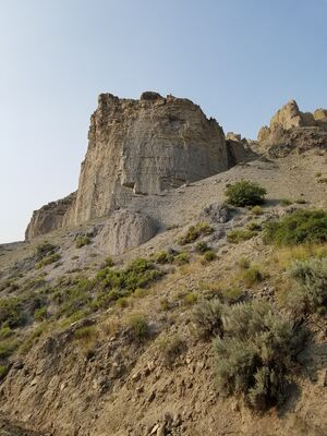 20170805_181040.jpg