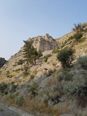 20170805_181127.jpg