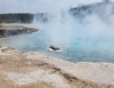 20170805_185618.jpg