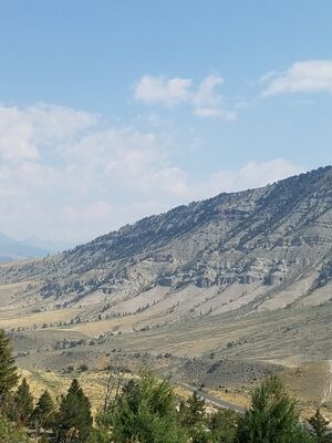 20170806_113204.jpg
