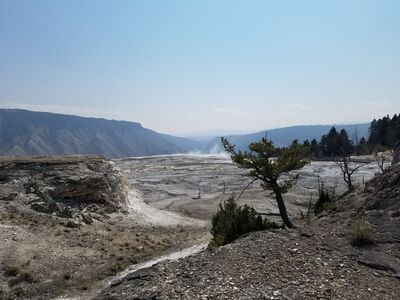 20170806_115123.jpg