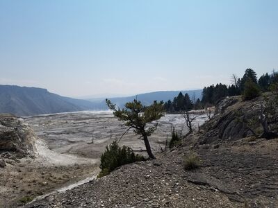 20170806_115132.jpg