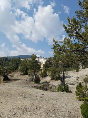 20170806_115216.jpg