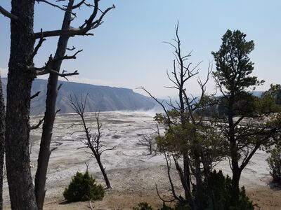 20170806_115251.jpg