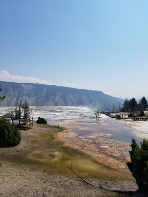 20170806_115534.jpg