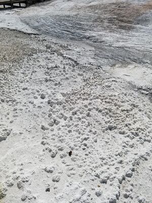 20170806_120129.jpg