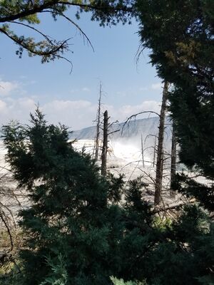 20170806_120428.jpg