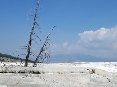 20170806_120514.jpg