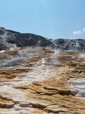 20170806_123218.jpg