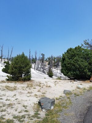 20170806_125623.jpg