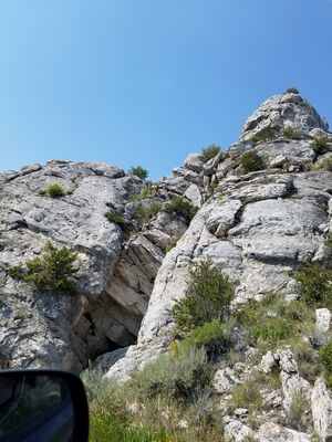 20170806_130216.jpg