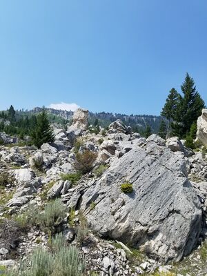20170806_130220.jpg