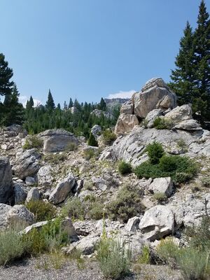 20170806_130223.jpg