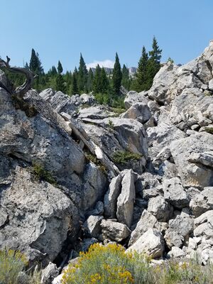 20170806_130226.jpg