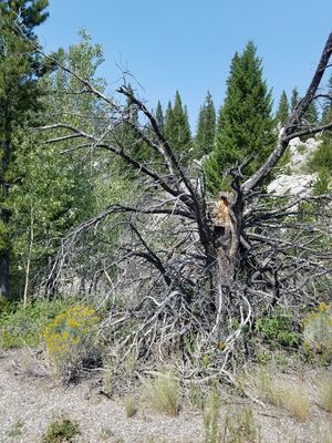 20170806_130255.jpg