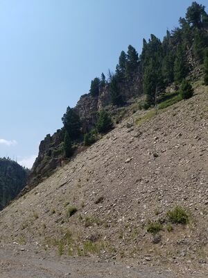 20170806_130333.jpg