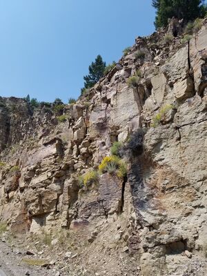 20170806_130351.jpg