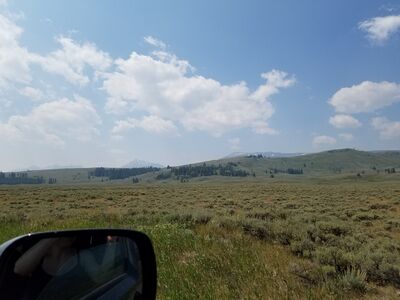 20170806_130749.jpg