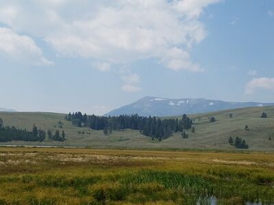 20170806_130816.jpg