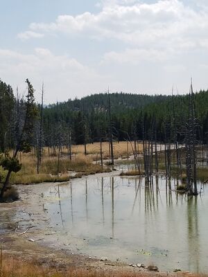 20170806_132927.jpg