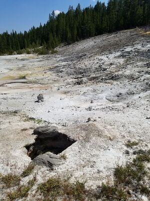 20170806_135453.jpg