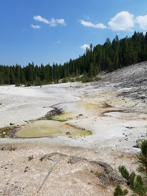 20170806_135511.jpg
