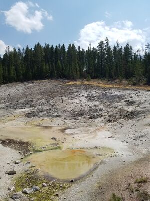 20170806_135528.jpg