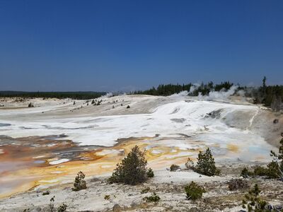 20170806_135712.jpg
